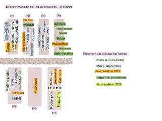 Potager saison  2026
