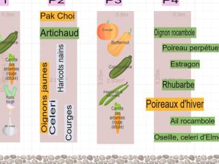 Potager saison  2026 (copie)