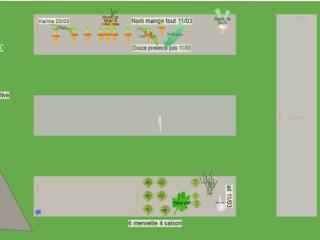 Mon potager au quotidien