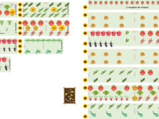 Mon potager