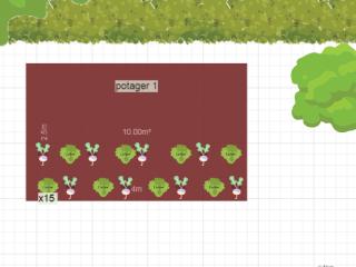 Mon potager