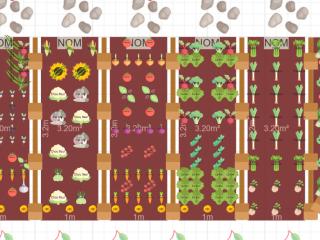 Notre potager mignon