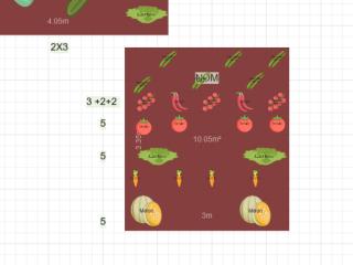 Mon potager 2026