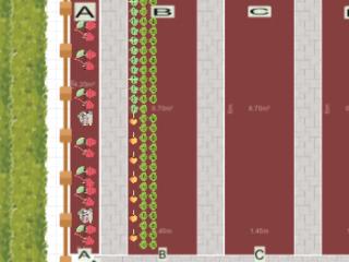 Mon potager