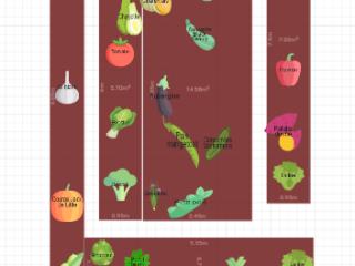 Mon potager 2026