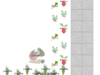 Mon potager (copie)