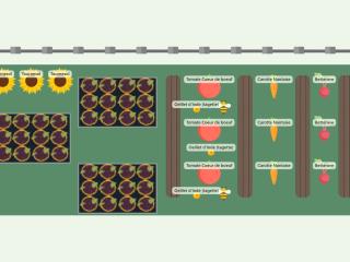 Mon potager