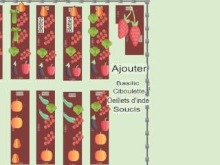 Potager de Françoise 2023