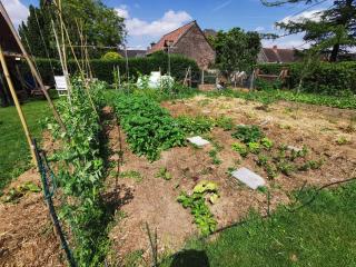 5 astuces pour créer un microclimat dans son potager