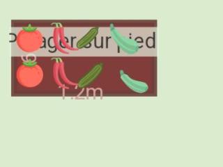 Potager maison