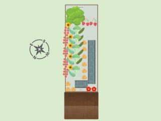 Mon potager Belge 2023