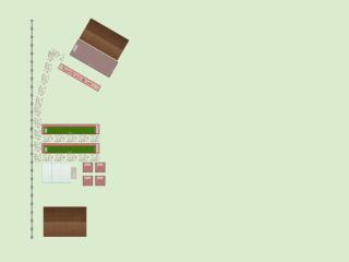 Potager de Tom et Marion