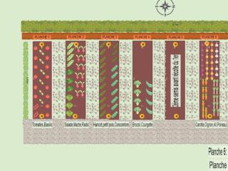 Potager 2023