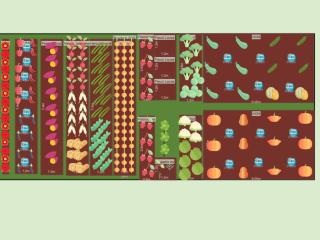 Mon potager 2023