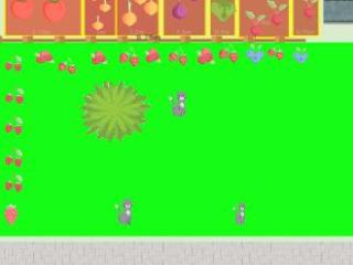 Potager 2022