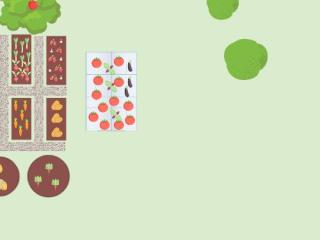 Mon potager bis