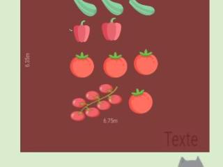 Mon potager 2022
