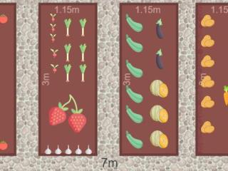 potager pature