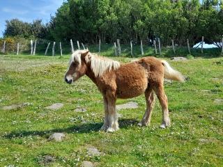 avatar Jennifer Karpisch