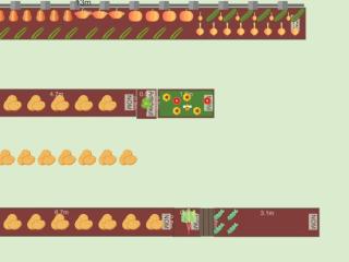Mon potager 2023