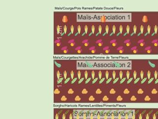 Mon potager 2023