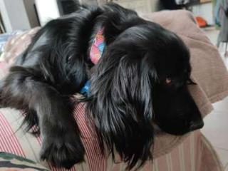 avatar Thierry Berger