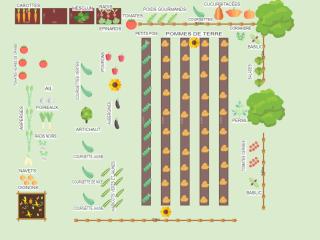Potager 2022 de Malo :)