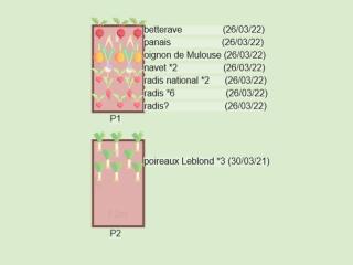 gestion potager 2023