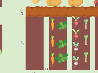 noyer Mon potager 2023