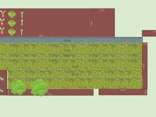Mon potager 2022
