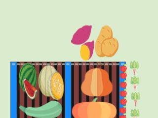 Mon potager 2023