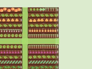 Mon potager 2023