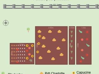 2022 Mon potager
