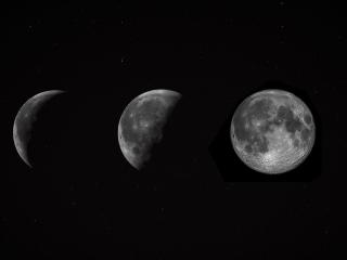 Calendrier lunaire pour le potager : faut-il jardiner avec la lune ?
