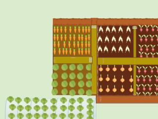 Potager 1