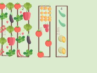 Potager Cabris