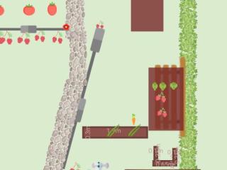 Mon potager
