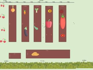 Mon potager 2021