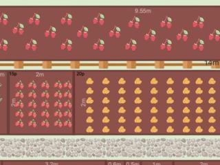 Mon potager 2023
