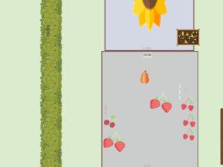 Le potager de Jean-mi