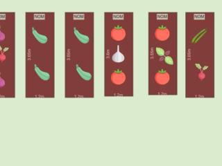 Mon potager 2023