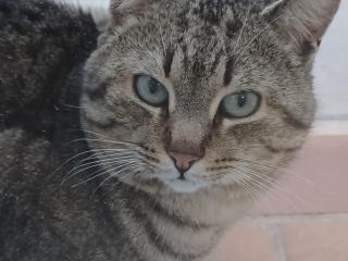 avatar Kakipassion