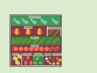 Mon potager 2023