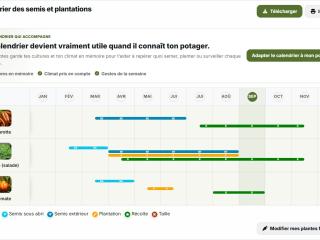 Calendrier potager 2027 : préparer une année de semis et de plantations