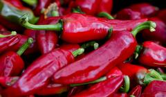 Piment d'Espelette (Gorria)