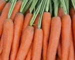 Carotte Touchon