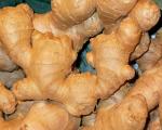 Curcuma