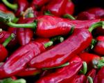Piment d'Espelette (Gorria)