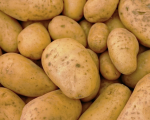 Pomme de terre Monalisa